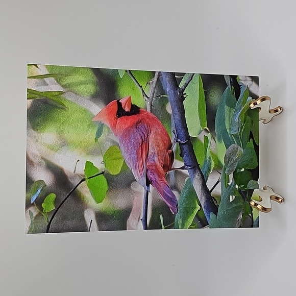 NobleCaptures Other - 4x6 Red‎ Cardinal Bird on a Limb Art Print